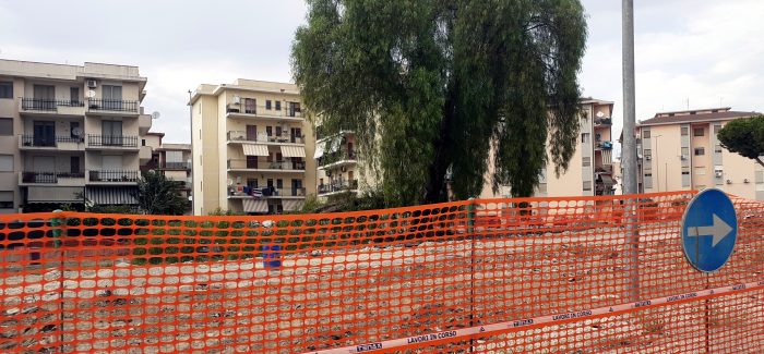 Reggio Calabria, continua la devastazione del verde su Piazza Milano