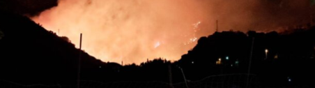 Grande notte di paura nel Reggino per un vasto incendio che ha distrutto vigneti ed uliveti