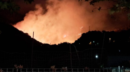 Grande notte di paura nel Reggino per un vasto incendio che ha distrutto vigneti ed uliveti Grande paura tra gli abitanti in quanto a tratti le fiamme sembravano incontrollabili e stavano raggiungendo le case