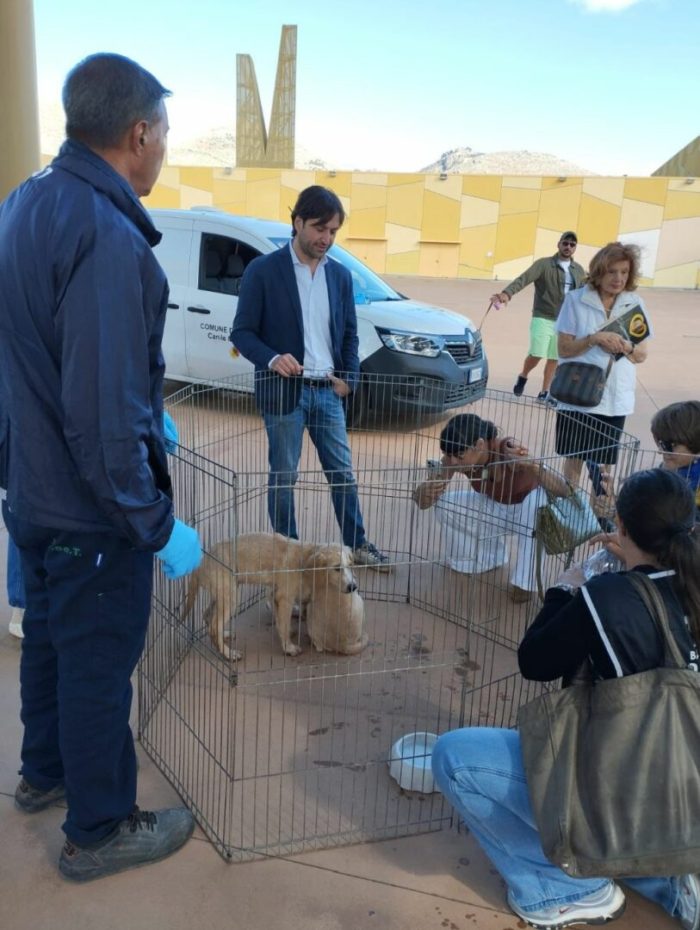 Palermo, Ferrandelli “Sold out di microchip oggi al centro Conca d’Oro”