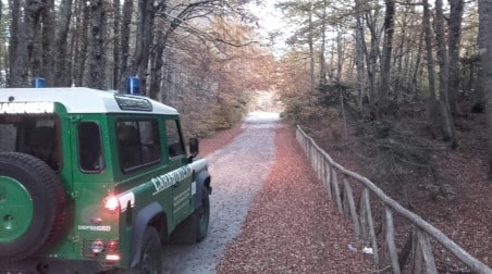 Contrasto al fenomeno del pascolo abusivo nel Parco Nazionale dell’Aspromonte da parte dei carabinieri L’episodio descritto non è nuovo nel territorio, qui teatro degli eventi; già nei mesi scorsi, analoga segnalazione era stata avanzata da rappresentati dell’amministrazione comunale locale, destando allarme sociale