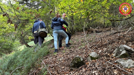 Ritrovati due fungaioli nel Reggino grazie alla tecnologia “Sms Locator” I due fungaioli, in buone condizioni di salute sono stati riportati presso la loro autovettura