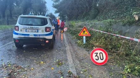 Palmi, gli interventi della Polizia Locale per gli effetti del maltempo. Dettagli Monitoraggi tutta la notte per scongiurare che una eventuale esondazione potesse arrecare danni a persone.